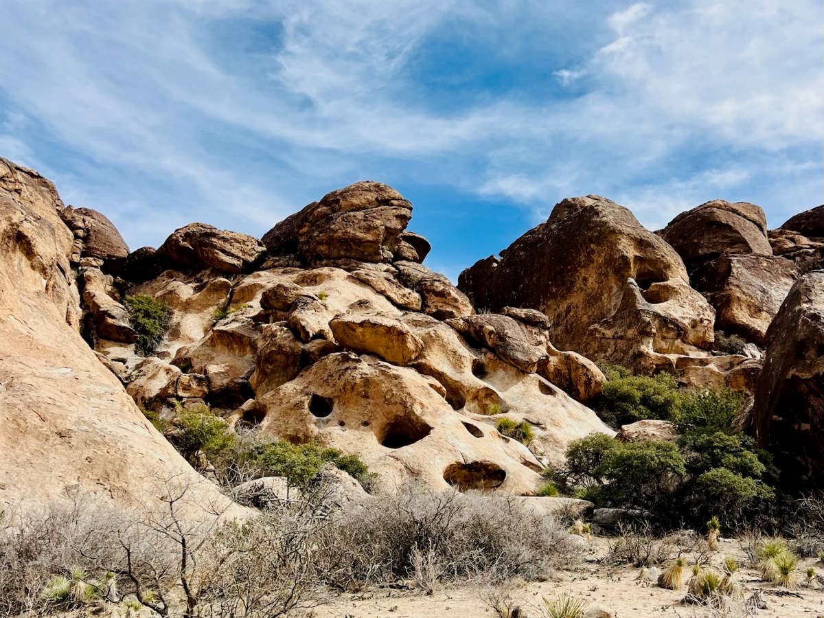 Feel the fear and do it&nbsp;anyway!