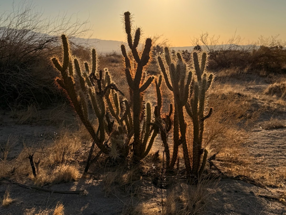 Back to the deserts…..