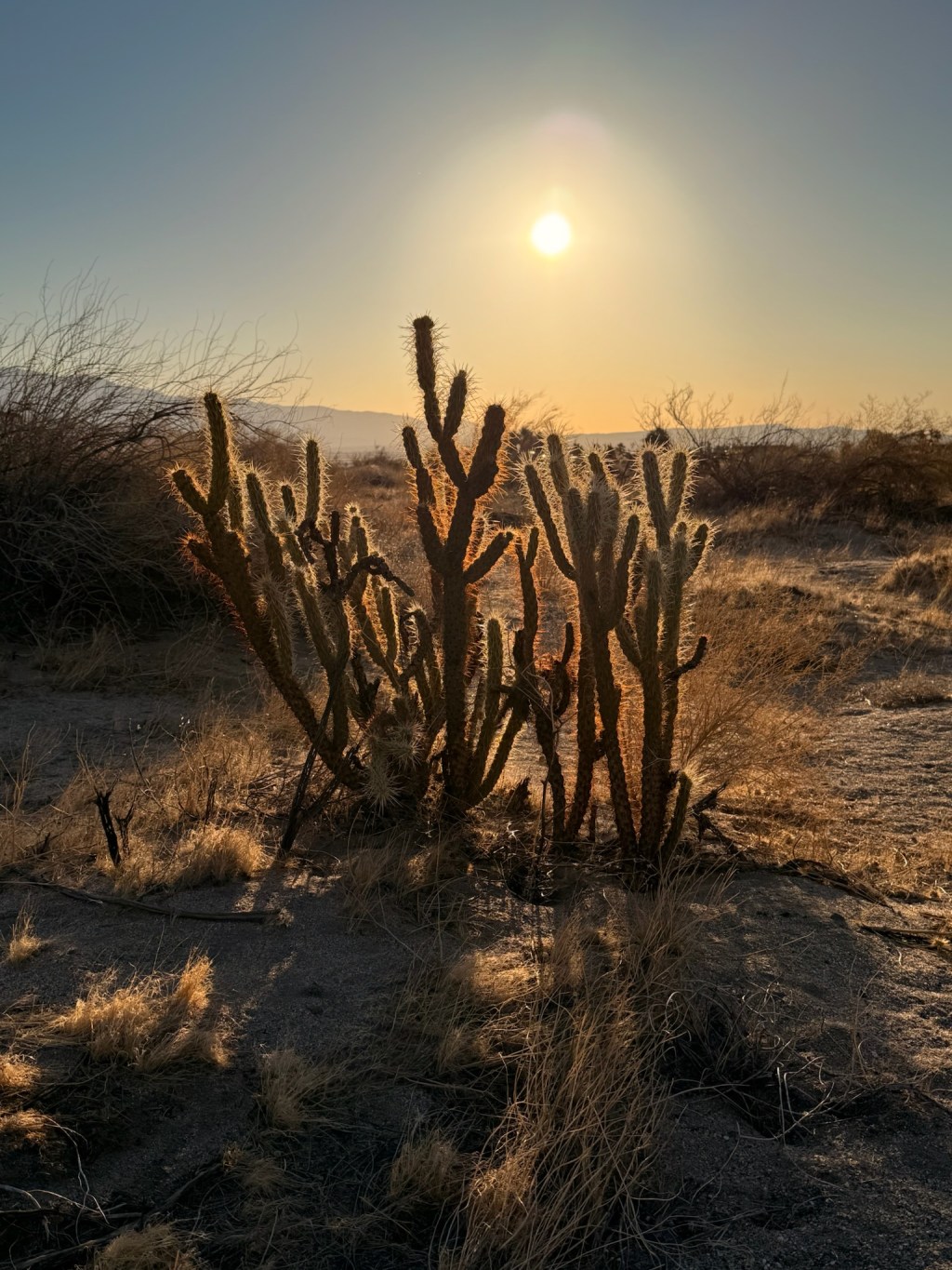 Back to the deserts…..